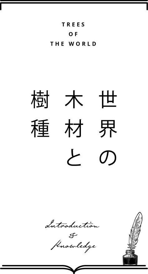 世界の木材と樹種